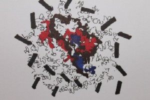 fg-clive-hambidge-connective-matrix-374787 10150589529867069 704277068 11379499 551931673 n