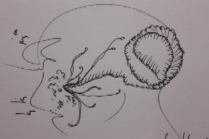 fg-clive-hambidge-new-brain-1-379976 10150589528667069 704277068 11379494 137508400 n