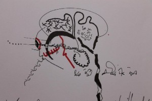 fg-clive-hambidge-new-brain-7-407409 10150589529022069 704277068 11379495 656537866 n