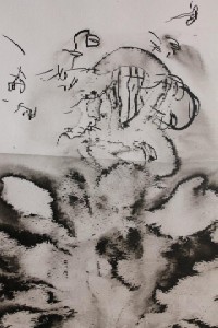 fg-clive-hambidge-spatial-calcification-374312 10150589534492069 704277068 11379529 1778878021 n