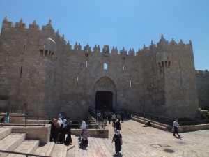 8542645160 b9317d0621 o 