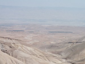 8542648372 c3f60d223b o 